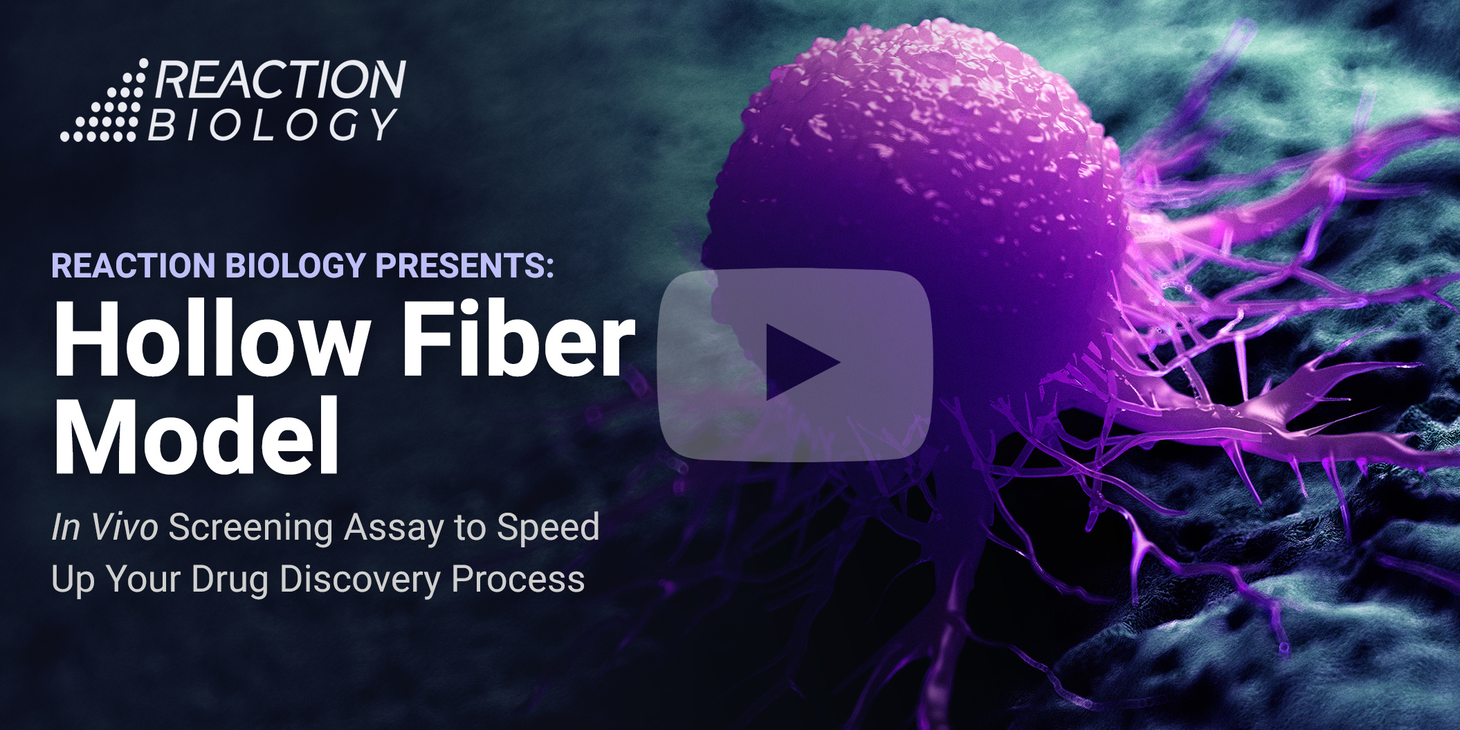 Hollow Fiber Model: A Closer Look